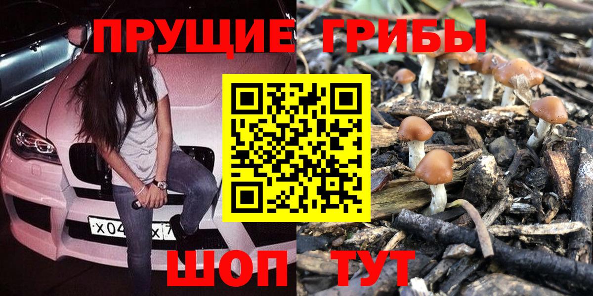 Псилоцибиновые грибы ЛСД Каменск-Уральский