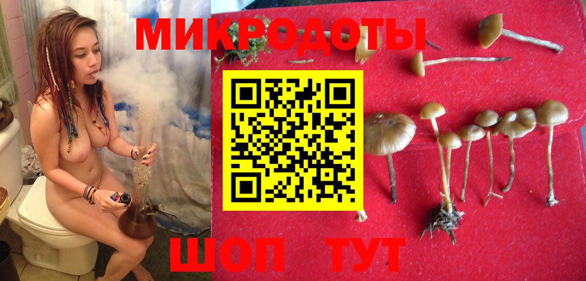Галлюциногенные грибы мицелий  Галлюциногенные грибы Psilocybe  как найти закладки  Вход с VPN  Каменск-Уральский 